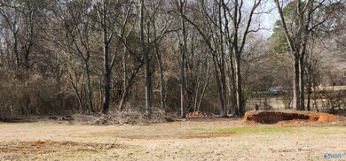 327 Pension Row, Madison, AL 35758 - photo 5