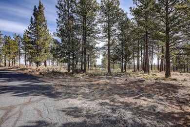 Lot 5 Vista View Loop, Sisters, OR 97759 - photo 7