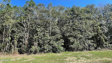 0 Old Hwy 49 unit 4128354, Saucier, MS 39574 - photo 4