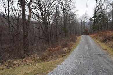 0 Hickory Falls Rd unit 920645, Blue Ridge, VA 24064 - photo 2