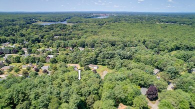 River view aerial
