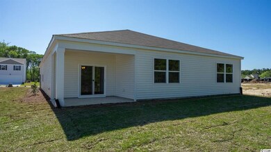 416 Spruce Pine Way unit Lot 218- Cali B, Conway, SC 29526 - photo 3