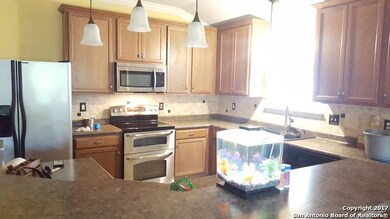 10814 Kobort Canyon, Helotes, TX 78023 - photo 4