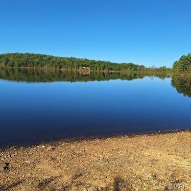 4 Turkey Creek, Lowndes, MO 63951 - photo 3