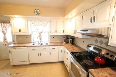 Kitchen View 2