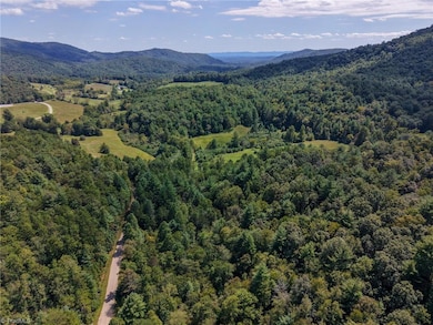 000 Antler Dr, McGrady, NC 28649 - photo 7