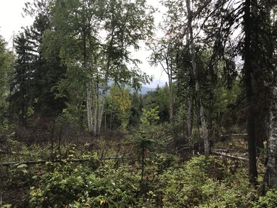 Over 18 acres to play with