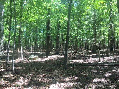 000 W Third St, Siler City, NC 27344 - photo 4