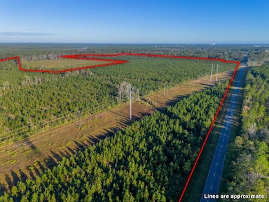 0 Anita St, Waycross, GA 31503 - photo 6