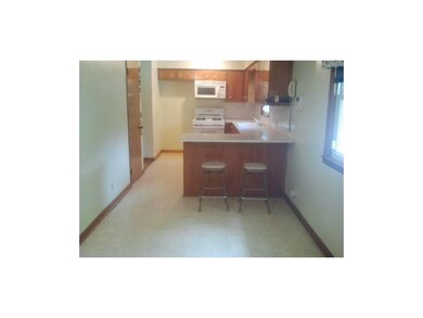 Big Country-Style Kitchen with Breakfast Bar