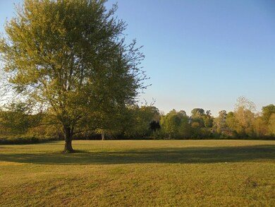 7920 Reynoldsburg Rd, Springville, TN 38256 - photo 6