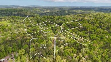 20250527212340807707000000-o