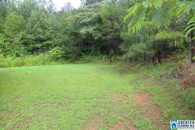 Great place for a swing set or trampoline for the 