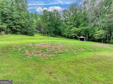 1362 Cherry Log St, Cherry Log, GA 30522 - photo 6