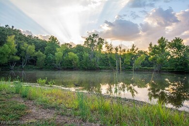 Pond