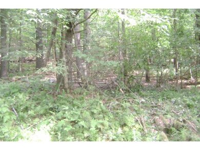00 Beaver Pond Rd, Lyman, NH 03585 - photo 3