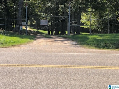 6040 Alabama 28, Snow Hill, AL 36768 - photo 7