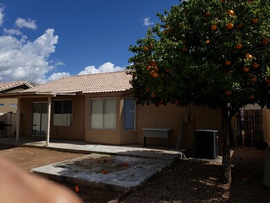 BACK YARD