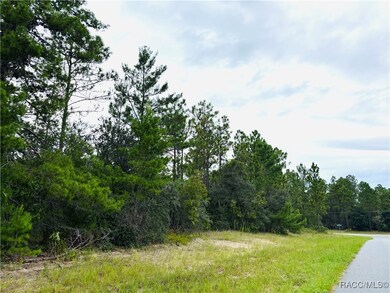 4021 W Malaluka Cir, Dunnellon, FL 34433 - photo 6