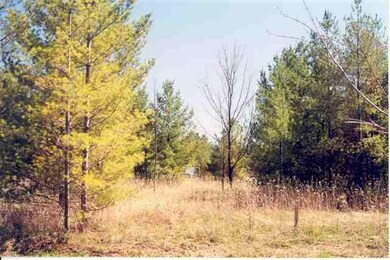 Lot 26 Whippoorwill Ln, Charlevoix, MI 49720 - photo 3