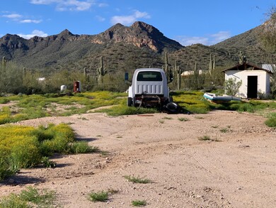 2450 W SADDLE BUTTE-- PIC