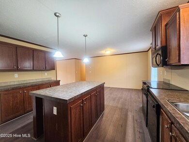 97 Lacewell St, East Arcadia, NC 28456 - photo 5