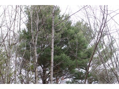 801 Brookfield Rd, Berlin, VT 05602 - photo 6