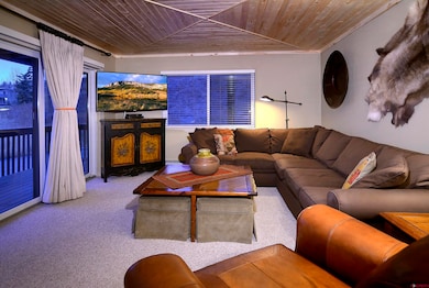 35 Emmons Rd unit 3, Crested Butte, CO 81225 - photo 7