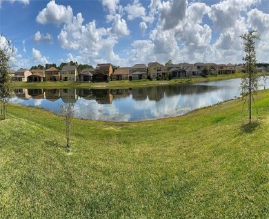 Lanai View