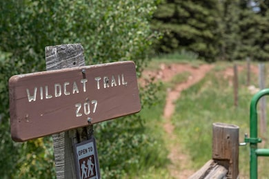 0 Highway 145 unit 42780, Dolores, CO 81323 - photo 5