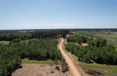 Lot 2 Hwy 16 None, Franklinton, LA 70438 - photo 7