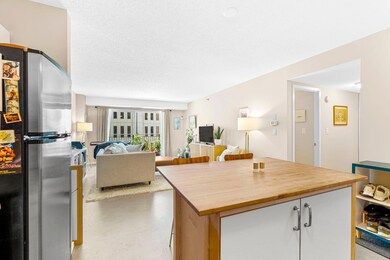 The Crossings Condominium unit 513, Minneapolis, MN 55401 - photo 6