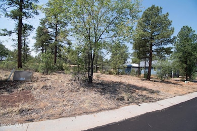 381 E Huckleberry Ln, Show Low, AZ 85901 - photo 2