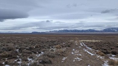 Sunland Acres unit Montello Elko County, Elko, NV 89830 - photo 4