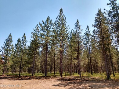 L3B1 N Sheep Springs Rd, Athol, ID 83801 - photo 4