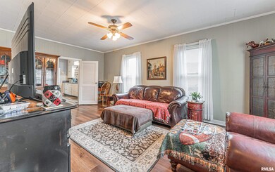 1418 N Ottawa St, Lincoln, IL 62656 - photo 4