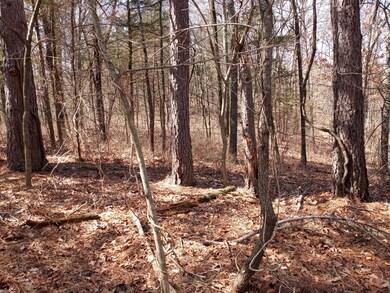 7509 Little St, Seligman, MO 65745 - photo 5