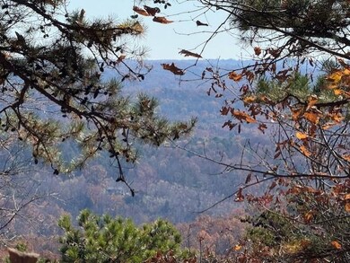 0 John Call Rd unit 7683545, Talking Rock, GA 30175 - photo 5