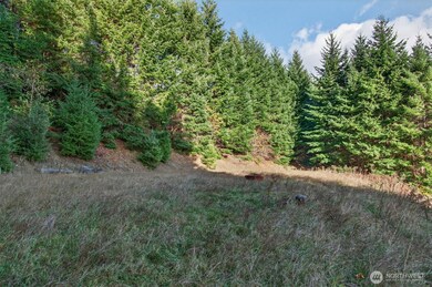 0 Knights Bridge Rd unit NWM2455713, Ariel, WA 98603 - photo 7