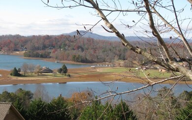 Additional View