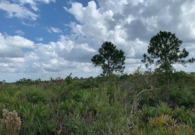 48341 Bermont Rd, Punta Gorda, FL 33982 - photo 2