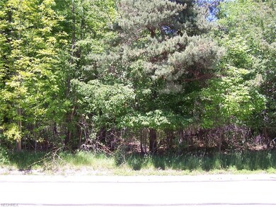 Street view of half acre lot with 100' frontage!