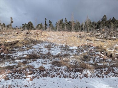 2283 Wohlstetter Loop, Fort Garland, CO 81133 - photo 2