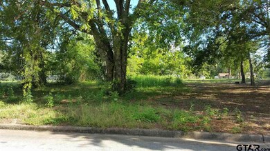 3019 Moorehead St, Tyler, TX 75701 - photo 3