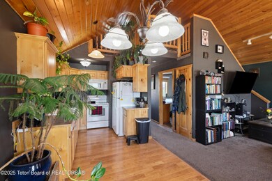 263 Fresian Cir6 IMG_9407