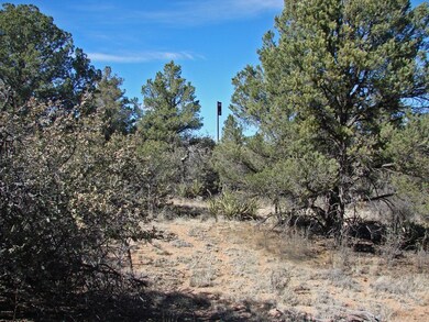 Pines and Oaks dot this landscape