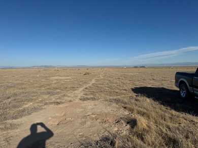 005. 2 Acre - Looking East