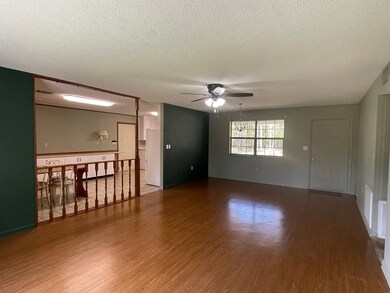 169 Carl Cloud Rd, Climax, GA 39834 - photo 6