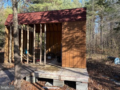 0 Longwood Dr unit VALA2007086, Louisa, VA 23093 - photo 7