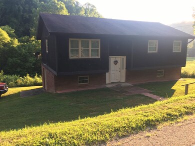 4976 Beech Fork Rd, East Lynn, WV 25512 - photo 2